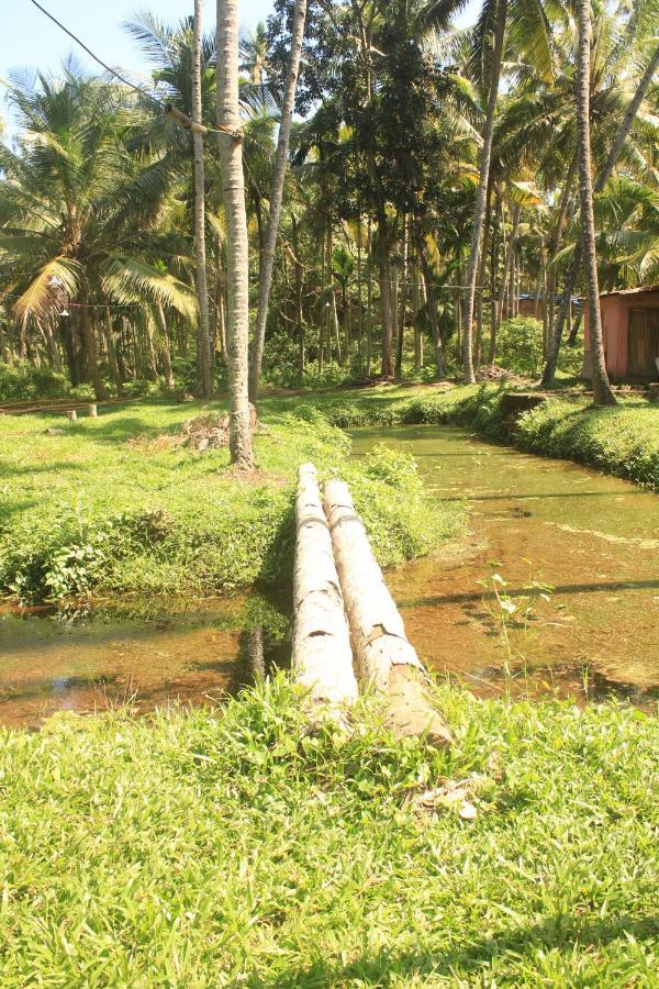 The Temple Tree Varkala Apartment Exterior photo