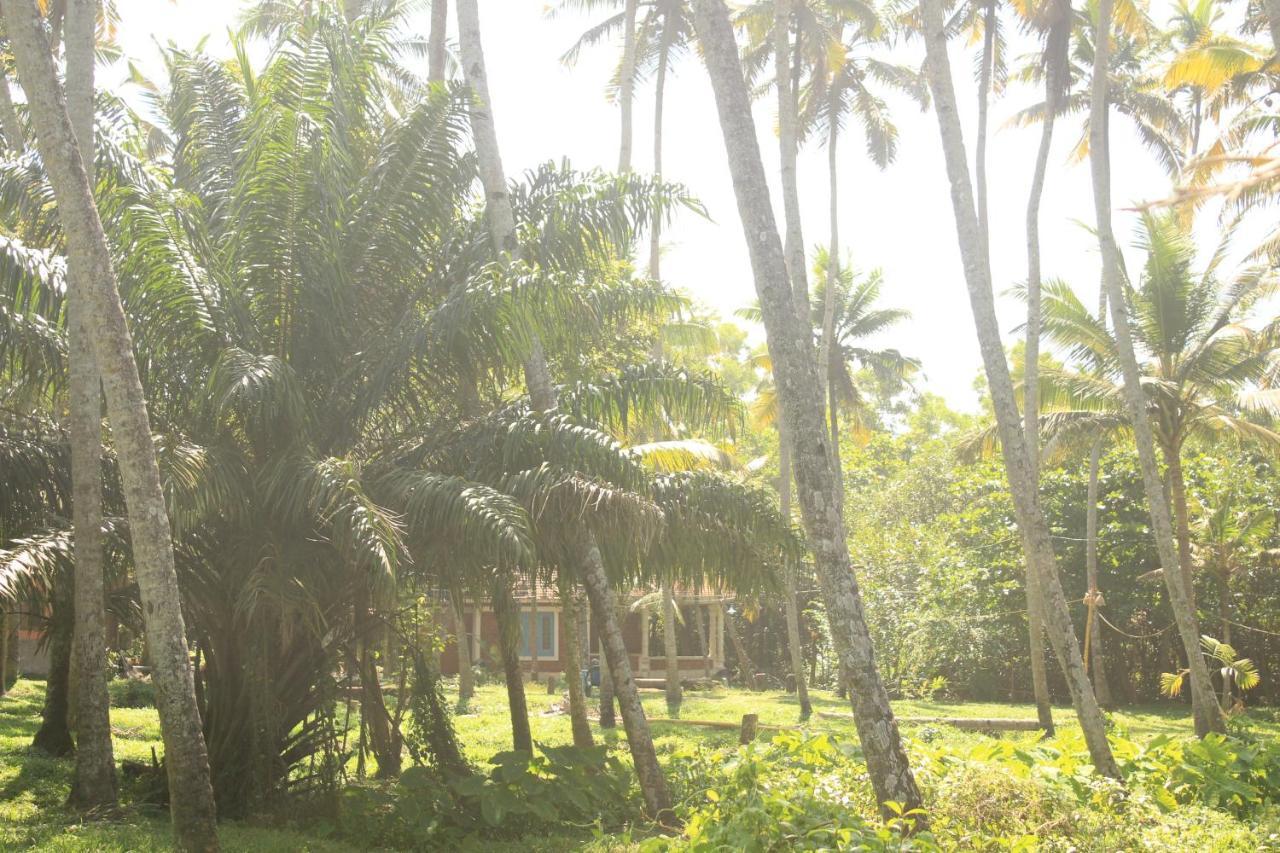 The Temple Tree Varkala Apartment Exterior photo