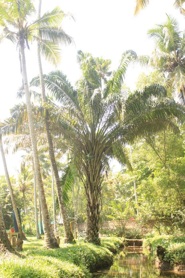 The Temple Tree Varkala Apartment Exterior photo