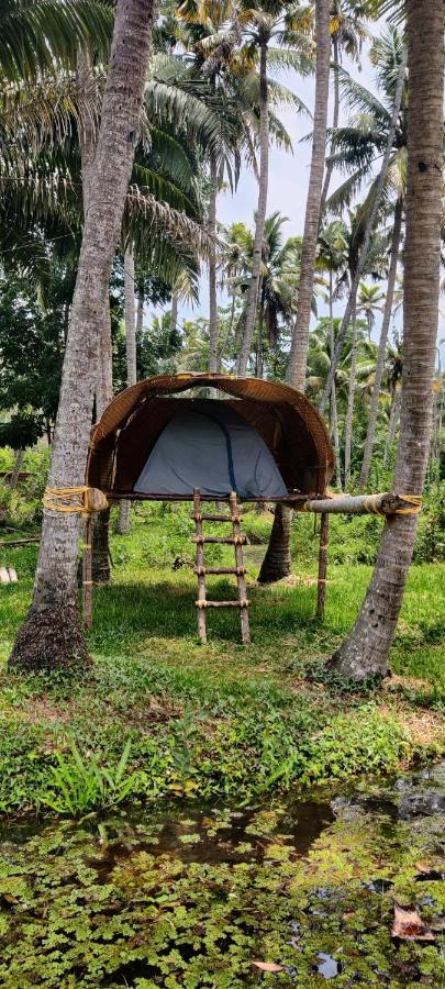 The Temple Tree Varkala Apartment Room photo